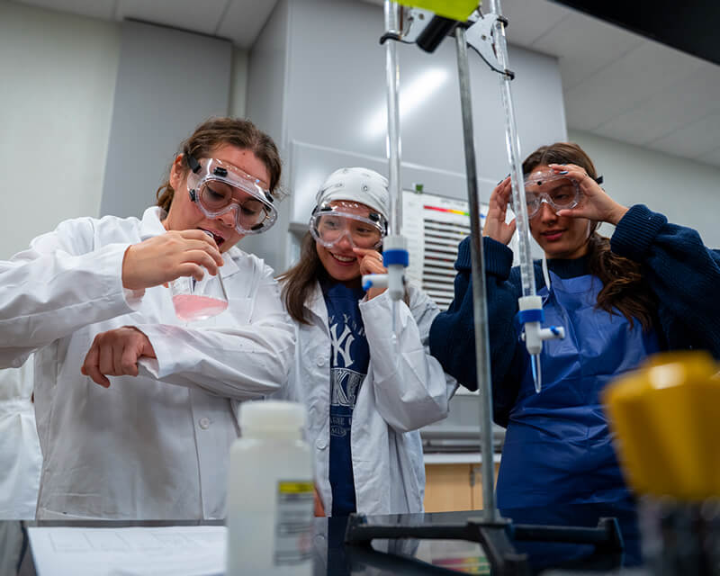 Students work on a project in a lab