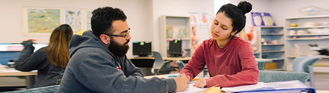 A student tutor assists another student in a Pima library common area